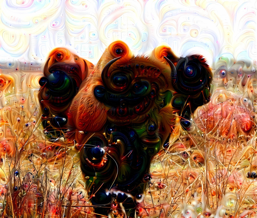 Acid buffalo 