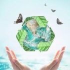 Hands holding globe with natural elements and birds against cloudy sky