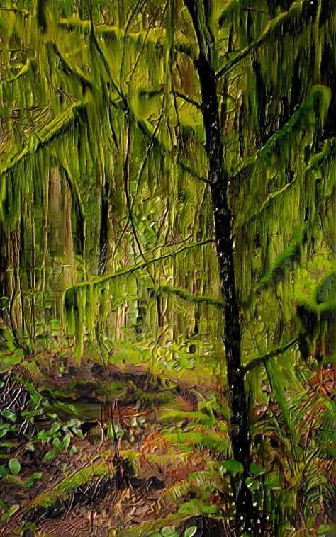 Mossy Forest