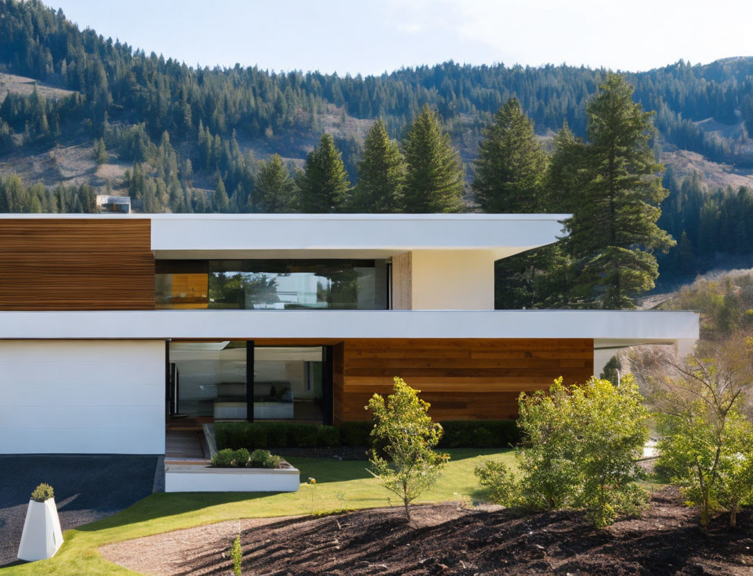 Contemporary multilevel home with white and wooden facade in green landscape