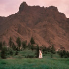 Person in lush green field facing multi-tiered pagoda with mountain backdrop.