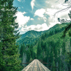 Bridge with railroad tracks in lush green forest under cloudy sky