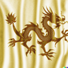 Intricate Dragon Design on Textured Golden Fabric