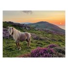 Surreal landscape with green hills, purple flora, and white horses at dawn or dusk