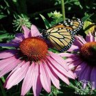 Stylized cartoon rodents on purple daisy with lush green foliage