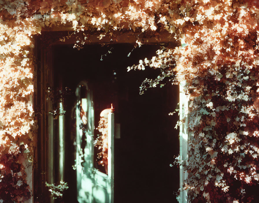 Nighttime doorway with candlelight and floral archway