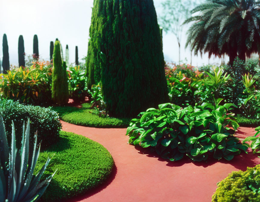 Manicured garden path with tall tree and lush plants