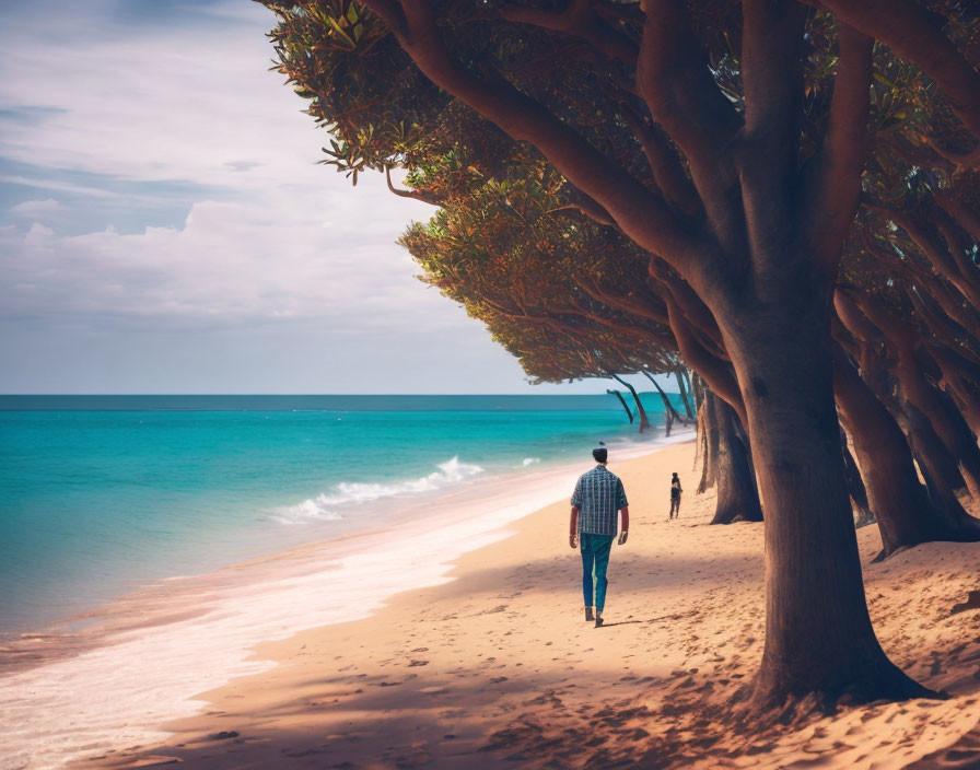 Tranquil beach scene: person walking by trees, blue skies, turquoise waters