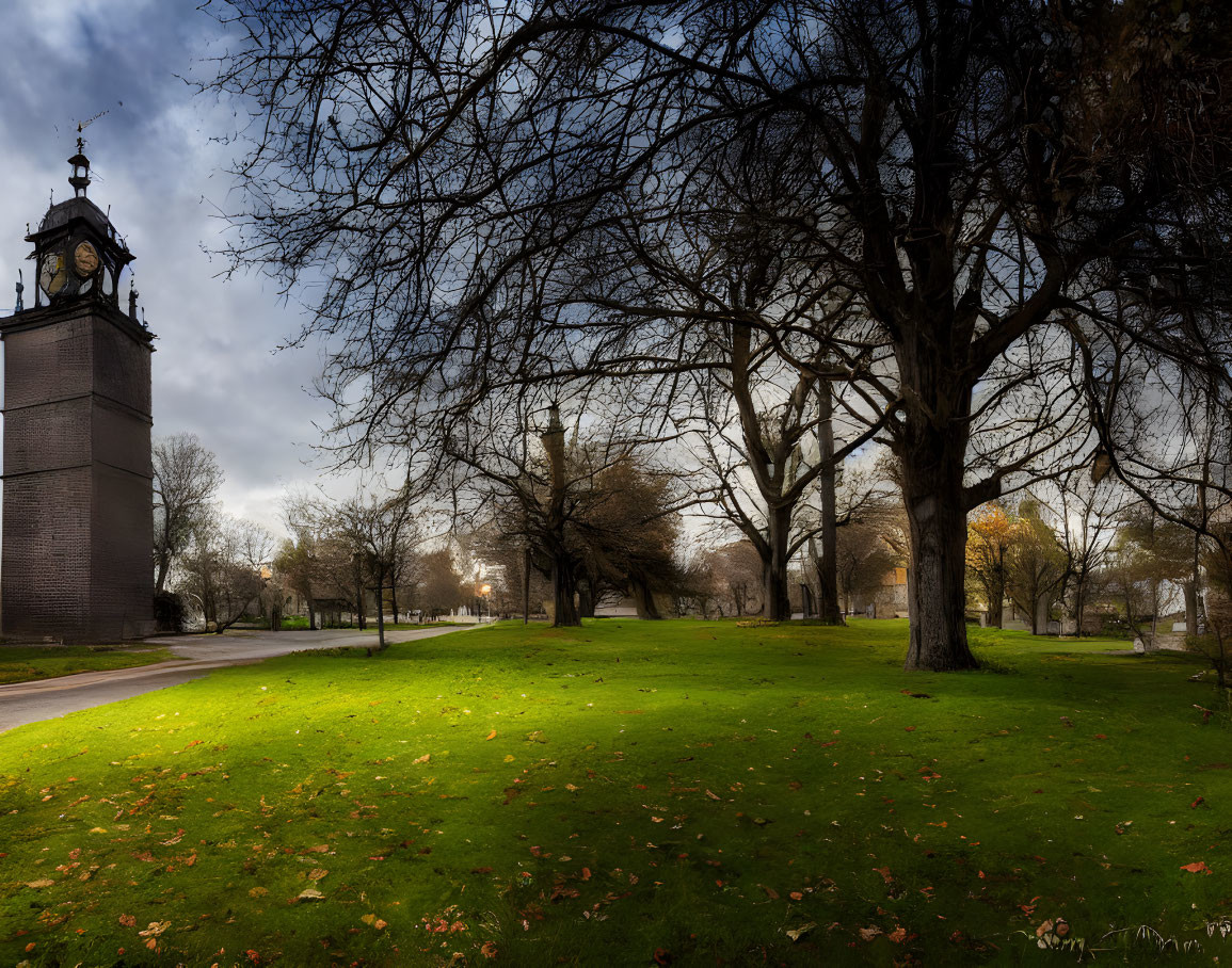 Tranquil park scene with bare trees, green lawn, fallen leaves, clock tower, and cloudy