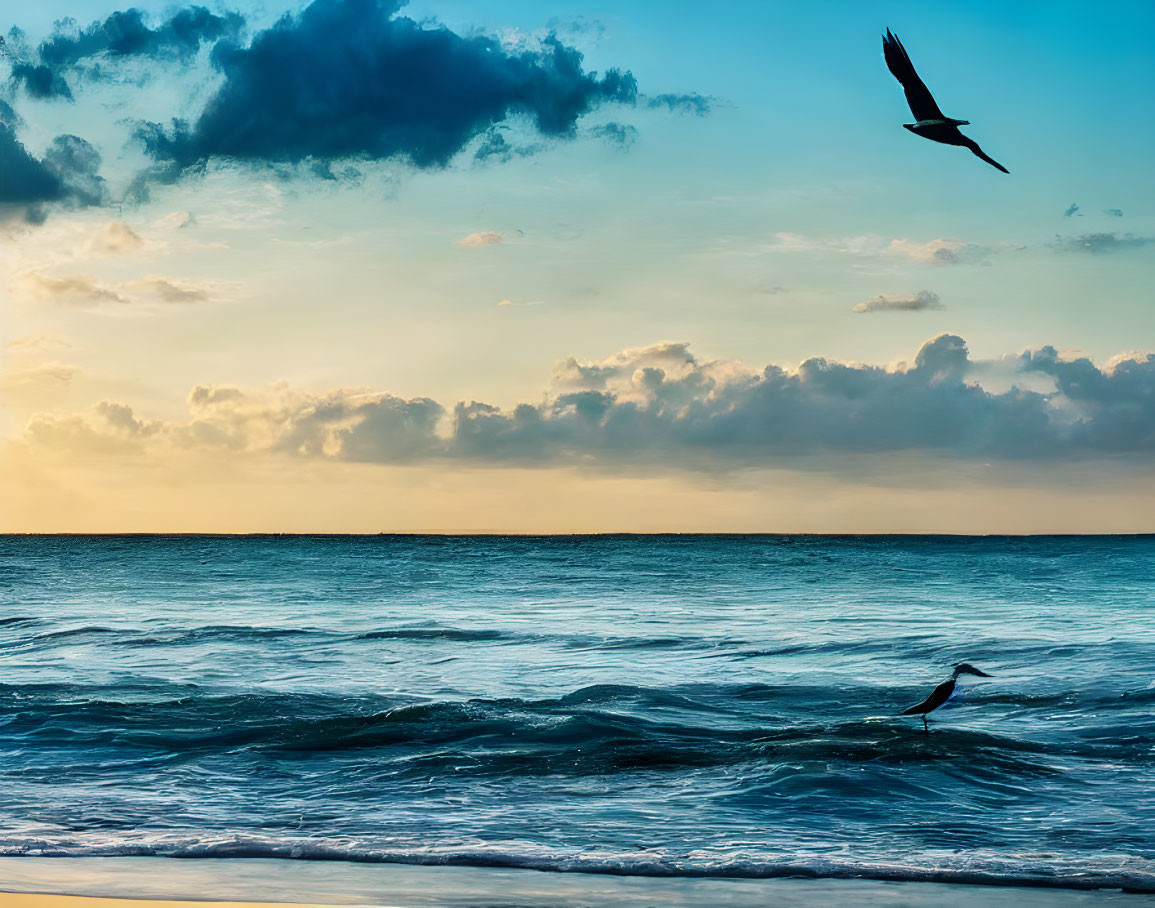 Twilight beach scene with soaring bird and waves