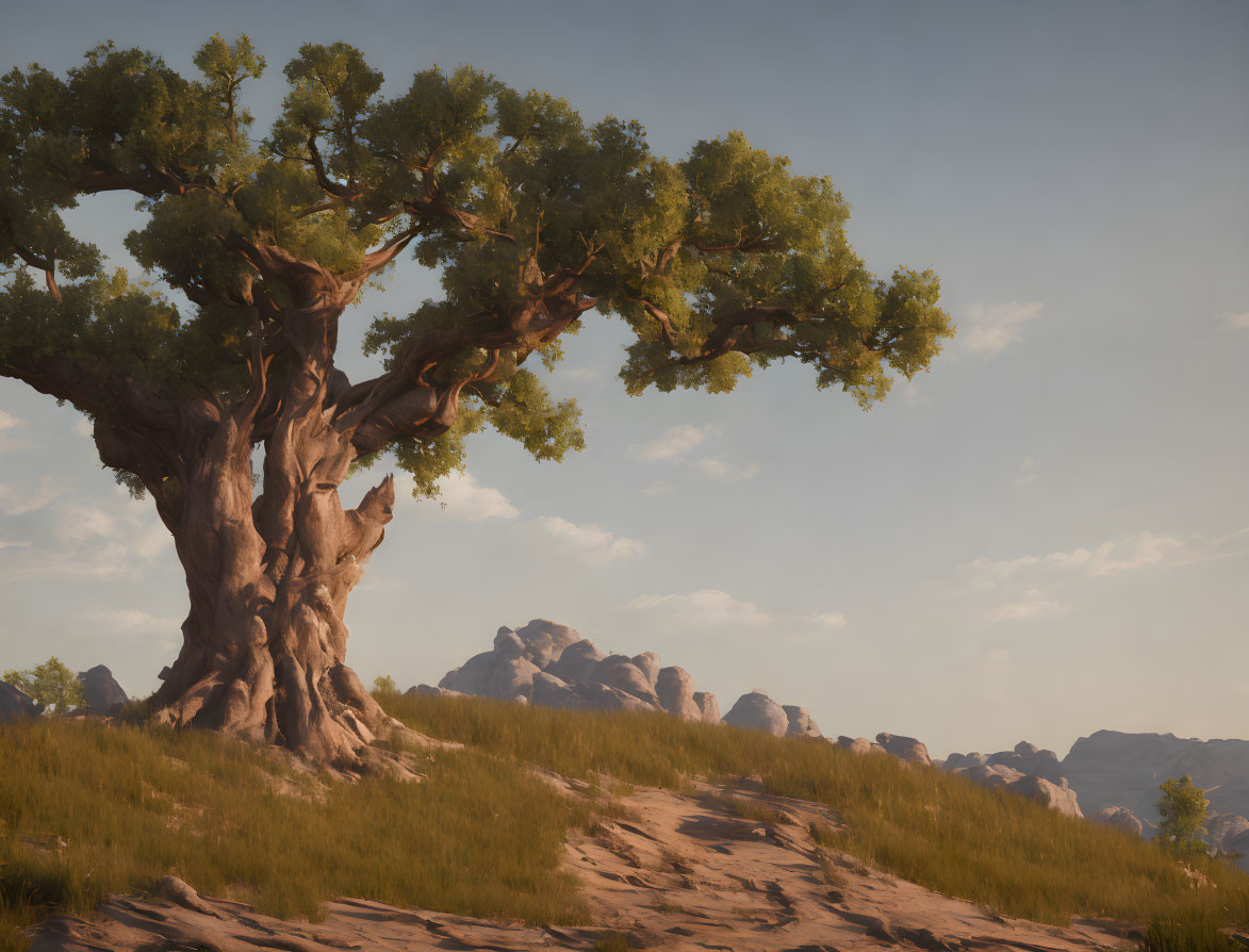 African savanna landscape with baobab tree and rocky hills