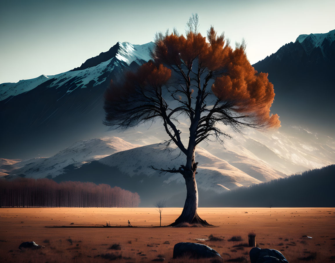 Solitary Tree with Orange Foliage in Meadow with Snow-Capped Mountains