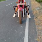 Woman in vibrant attire on motorcycle on rural road with golden light