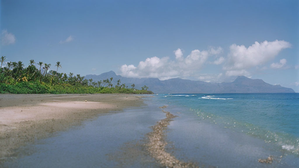 Tranquil beach scene with palm trees, gentle waves, and distant mountains