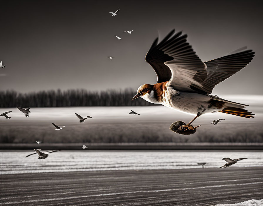 Swallow Flying Over Snowy Landscape with Blurred Birds and Dramatic Sky