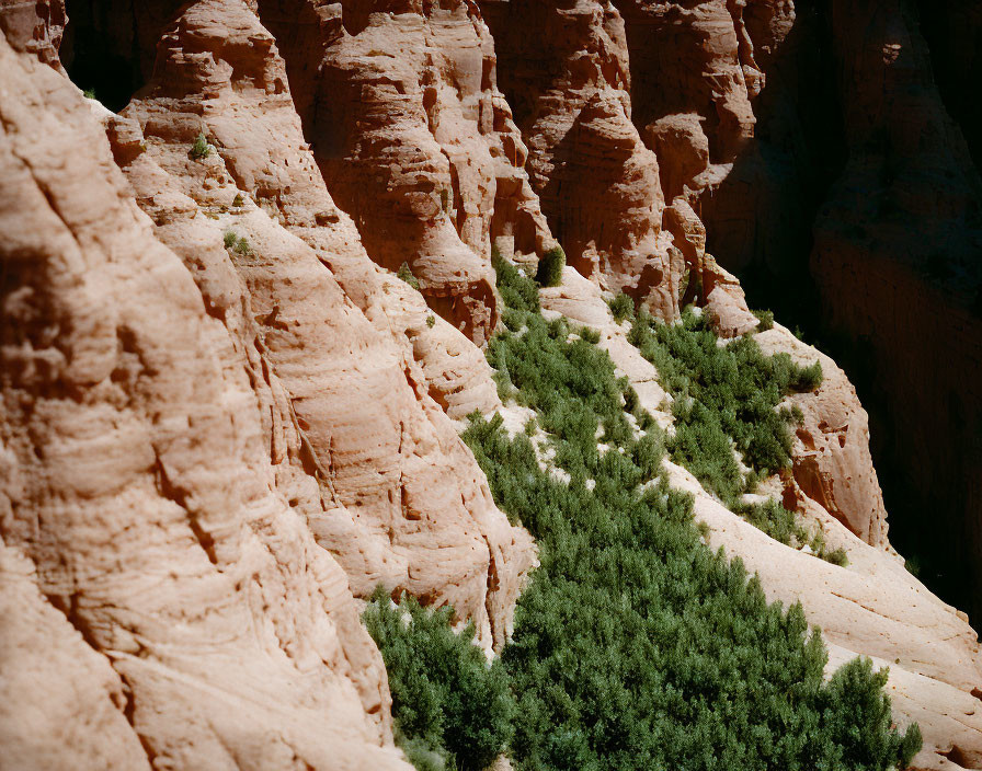 Sandy cliffs with green shrubs under clear blue sky