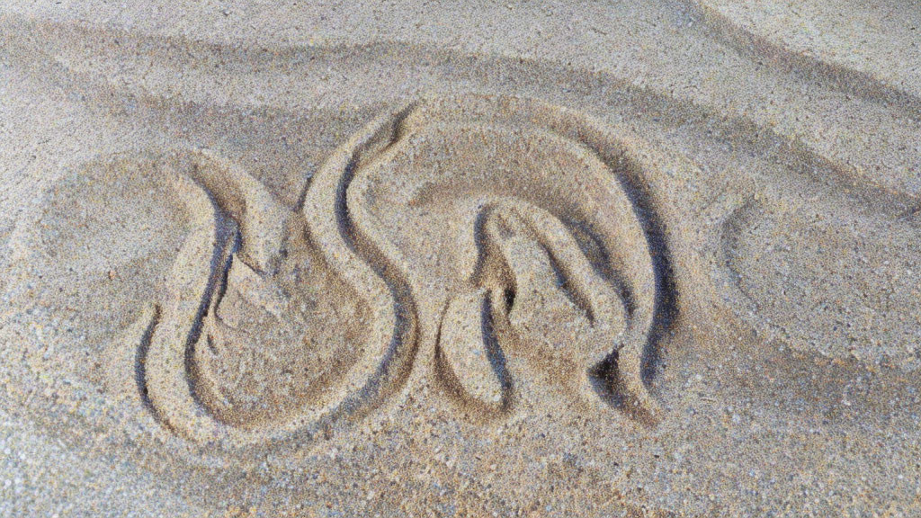 Spiral pattern with elongated arms carved in wet beach sand