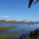 Tranquil coastal scene with boats, rock formations, palm trees, blue sky