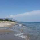 Tranquil beach scene with palm trees, gentle waves, and distant mountains