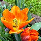 Detailed digital art: Vibrant orange flower with whimsical robotic creature in lush flora