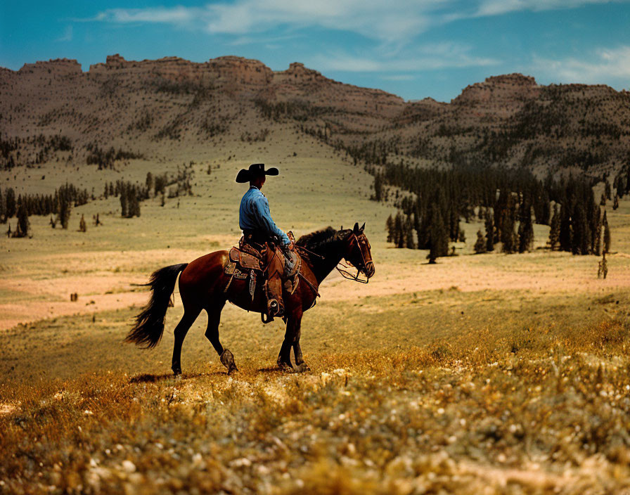 Cowboy on horseback in open field with rolling hills and trees.