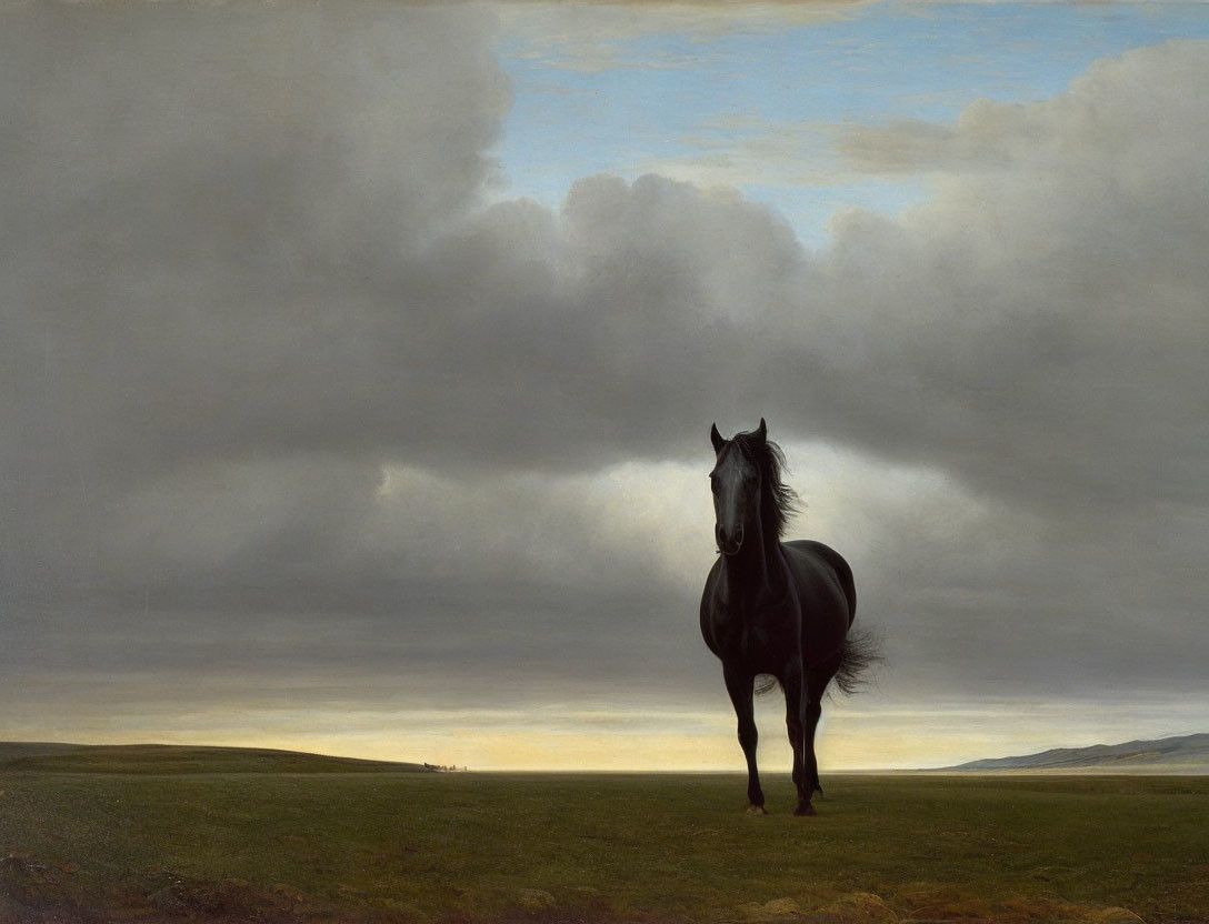 Solitary black horse in expansive grassland under dramatic sky