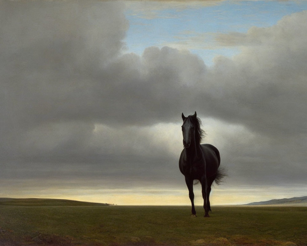 Solitary black horse in expansive grassland under dramatic sky