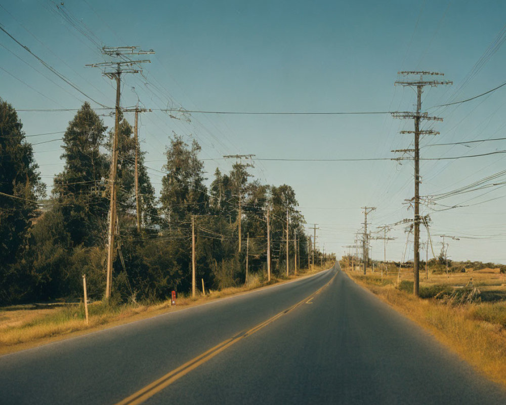 Scenic road with electricity poles, trees, and figure at golden hour