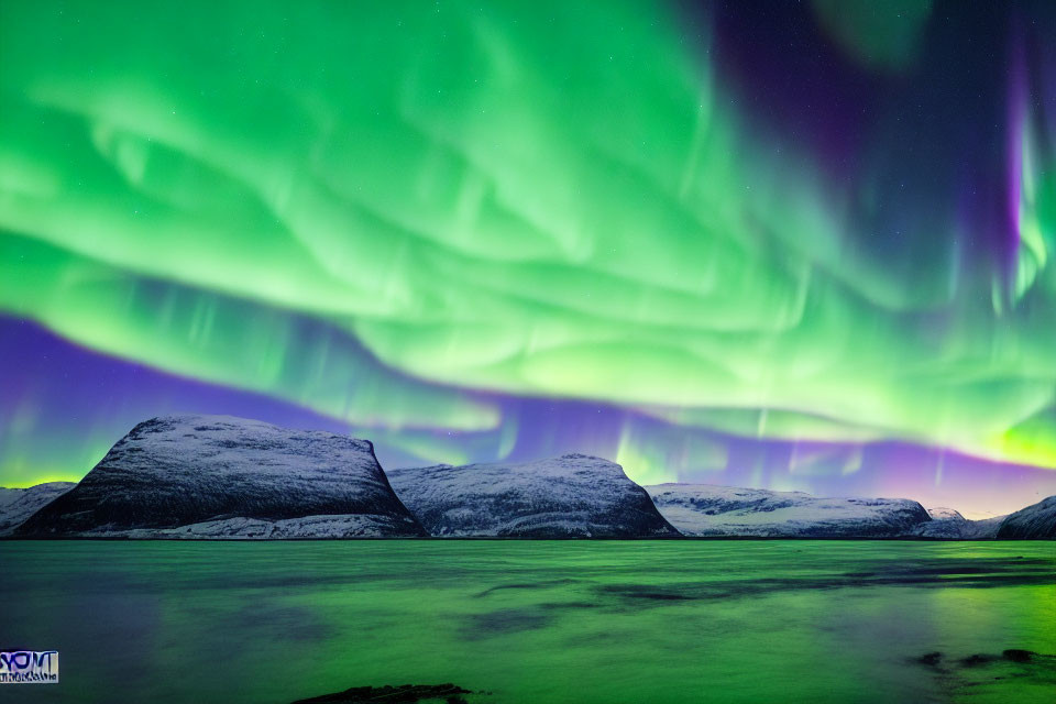 Majestic green aurora borealis over snow-capped mountains