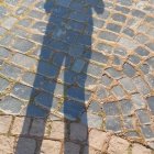 Figure's Long Shadow on Leaf-Scattered Path