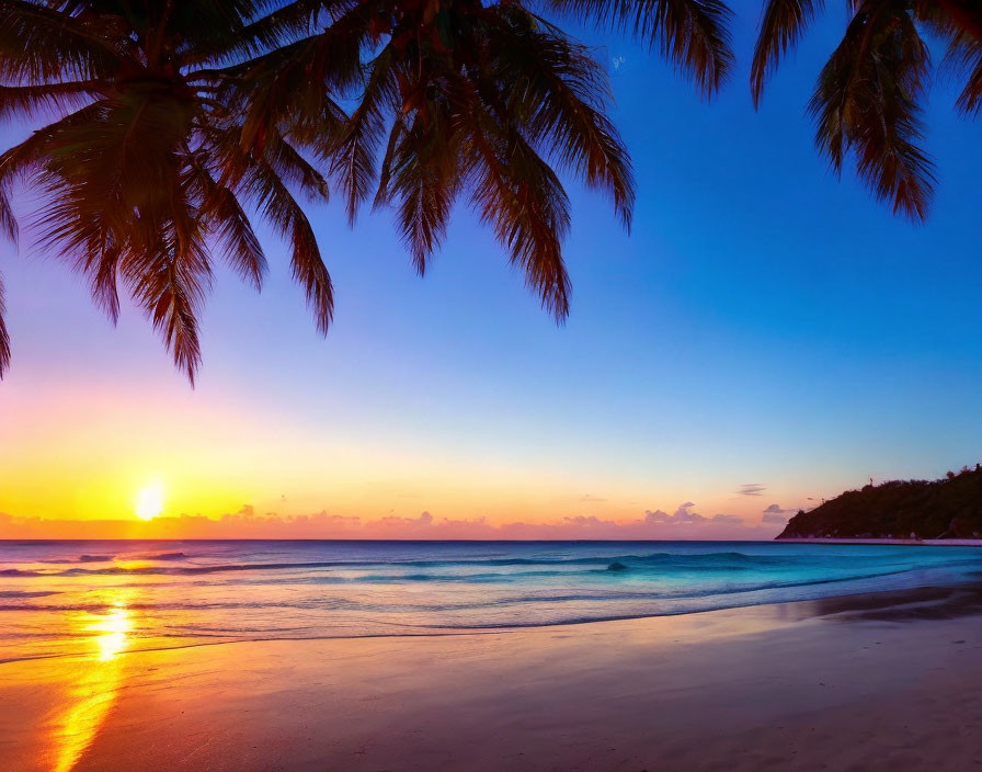 Tropical beach sunset with palm tree silhouettes and colorful sky