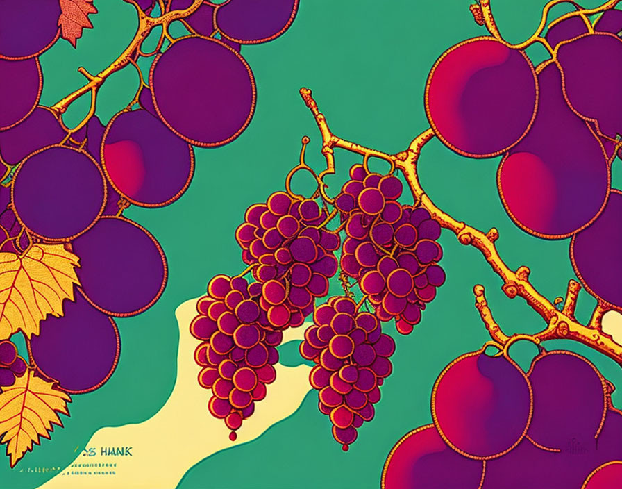 Colorful Grape Clusters Illustration on Green Background