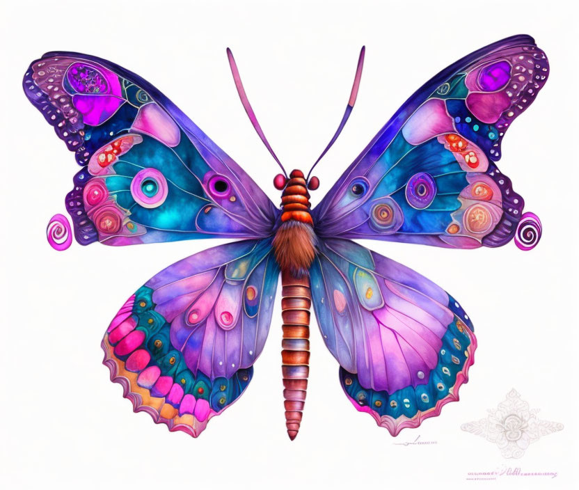 Colorful Butterfly Artwork with Intricate Patterns and Bright Hues