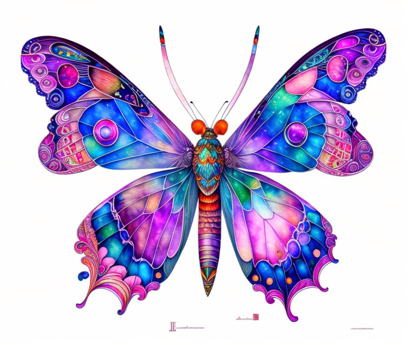 Colorful Butterfly with Intricate Patterns in Blues, Purples, and Pinks