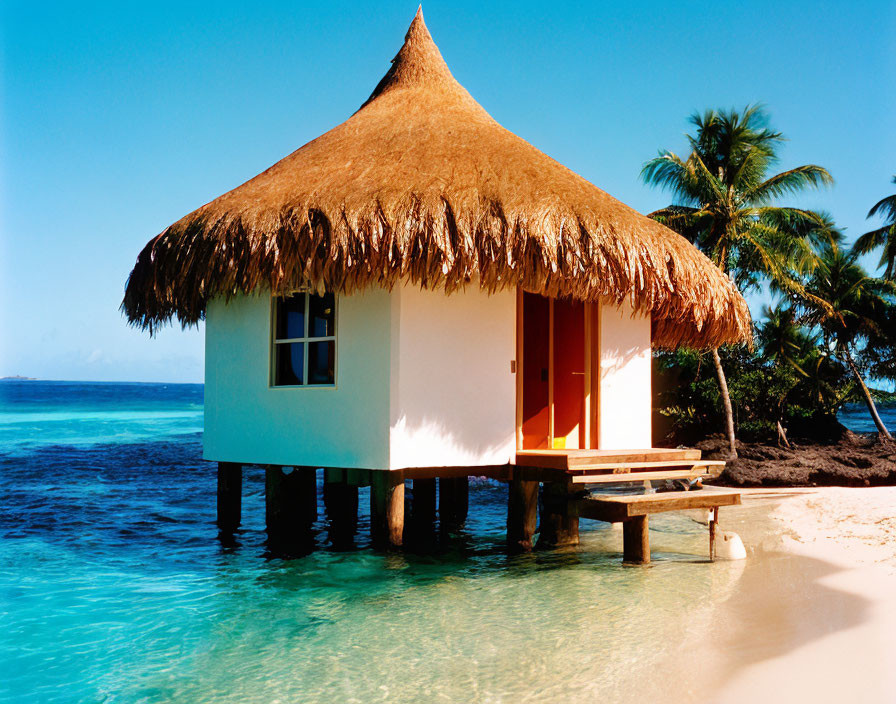 Tropical Thatched Roof Overwater Bungalow by Clear Blue Ocean