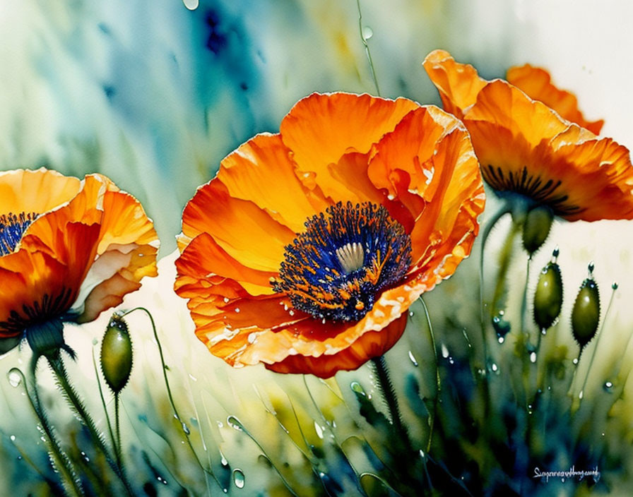 Colorful Orange Poppies with Blue Speckled Background and Dewdrops on Petals