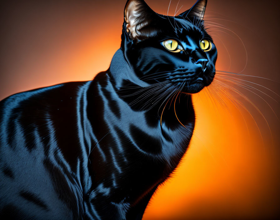 Black Cat with Yellow Eyes and Whiskers on Orange Background