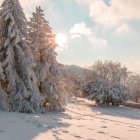 Snowy Twilight Landscape with Tall Pine Trees, Reflective Bubble, and Two Moons