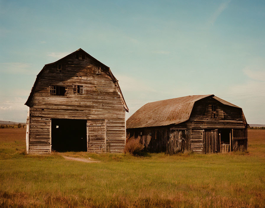 Weathered wooden barns in open field under vast sky