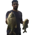 Person in Starry Cosmos Outfit Holds Large Fish, Child in Green Coat Looks Up