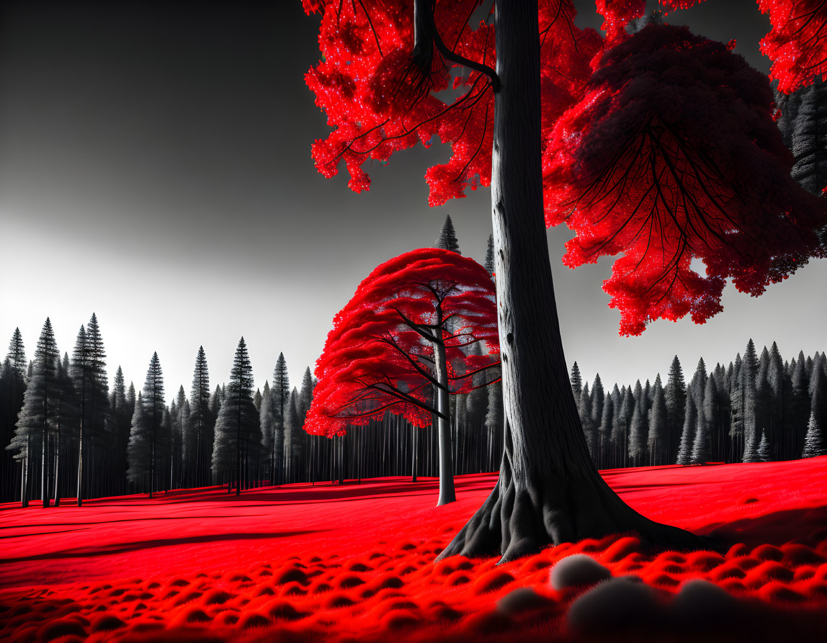 Vivid red and black landscape with striking trees