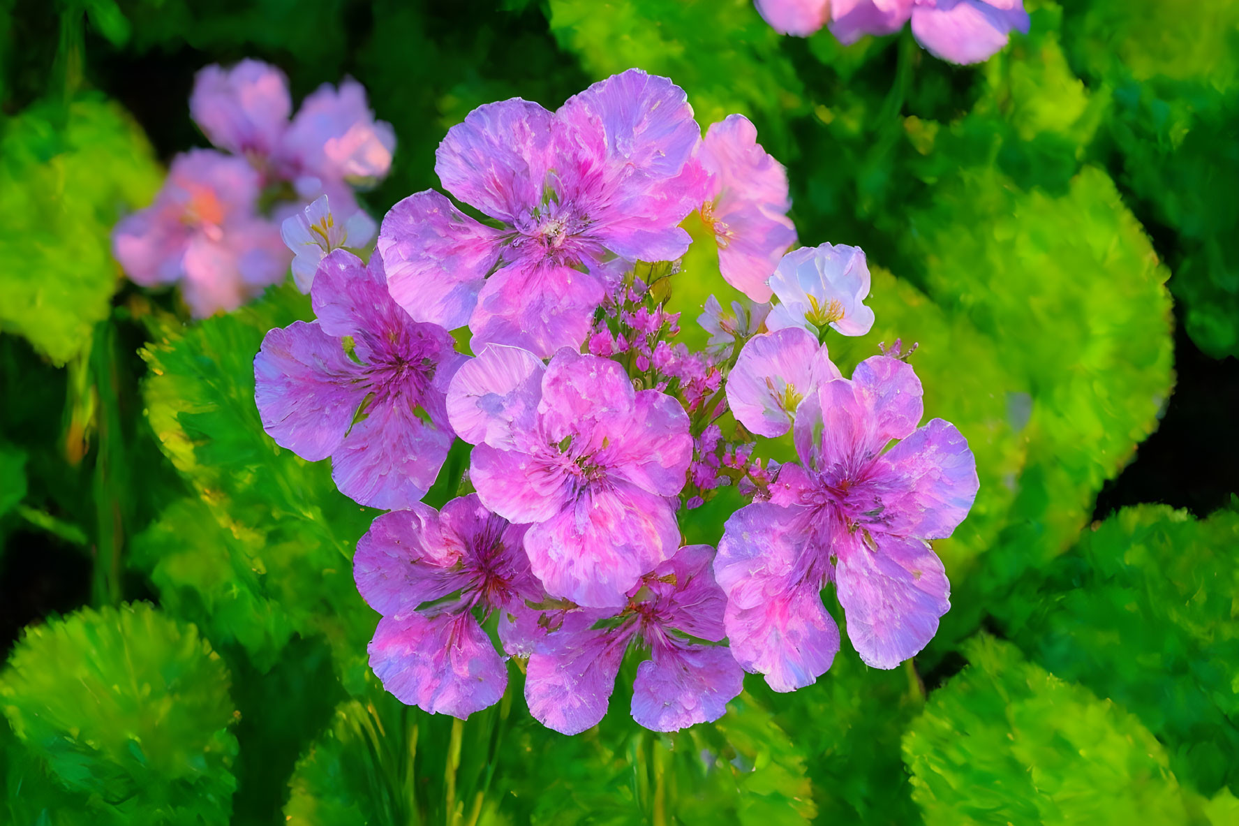 Pink Watercolor Flowers on Dark Green Foliage