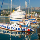 Coastal village with boats and surreal elements under sunny sky