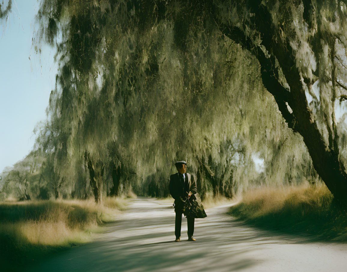 Person in Suit and Hat on Dusty Road with Weeping Willows and Sunlight