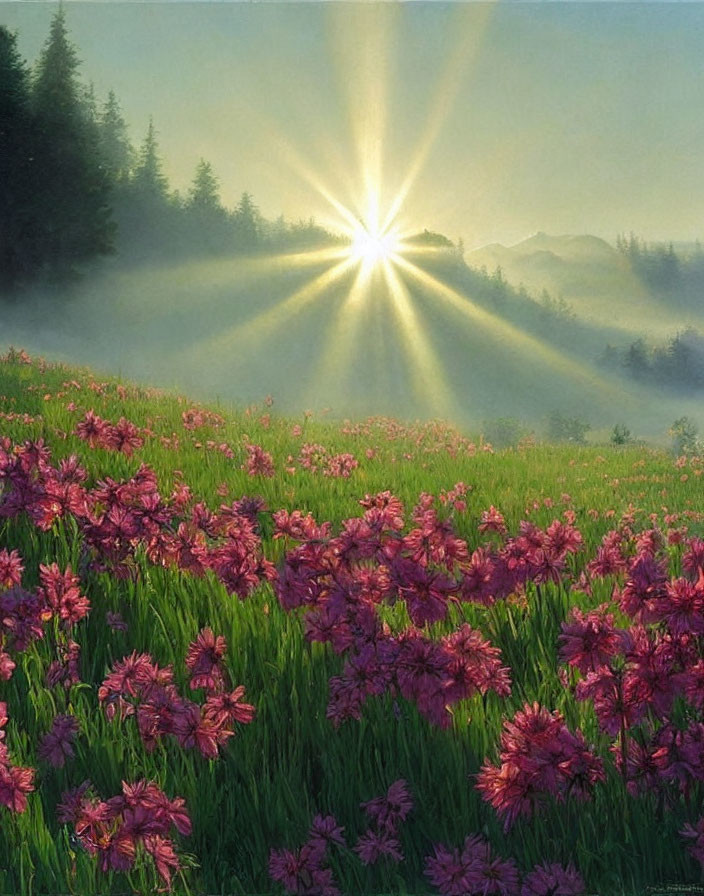 Tranquil meadow with pink flowers, sunburst, mist, trees, and mountains