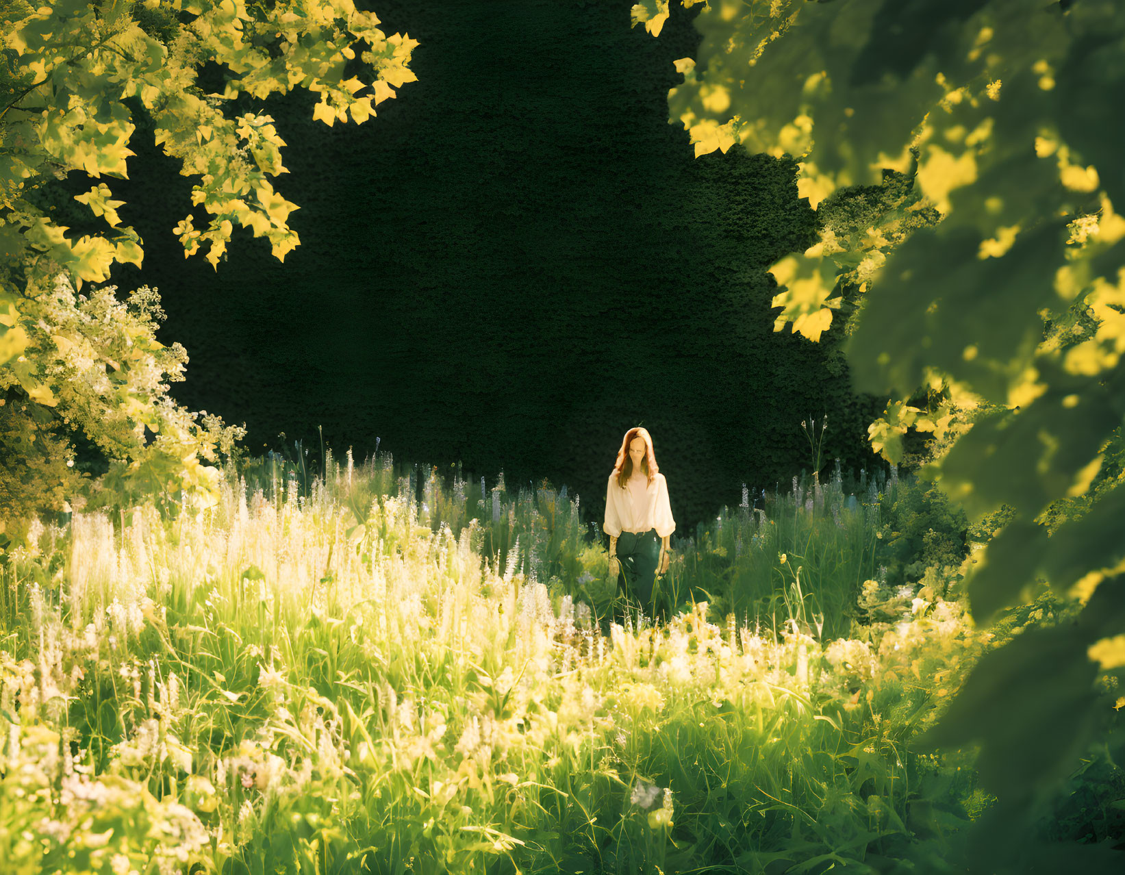 Person standing in sunlit forest clearing with tall wildflowers.