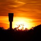 Birds in Silhouette Flying around Tower at Vibrant Sunset