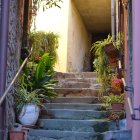 Narrow Alley with Steps and Potted Plants Leading to Blue Door