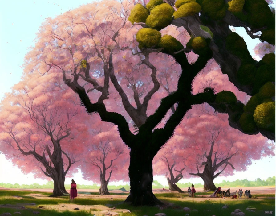 Pink Cherry Blossom Trees Over Tranquil Meadow Scene