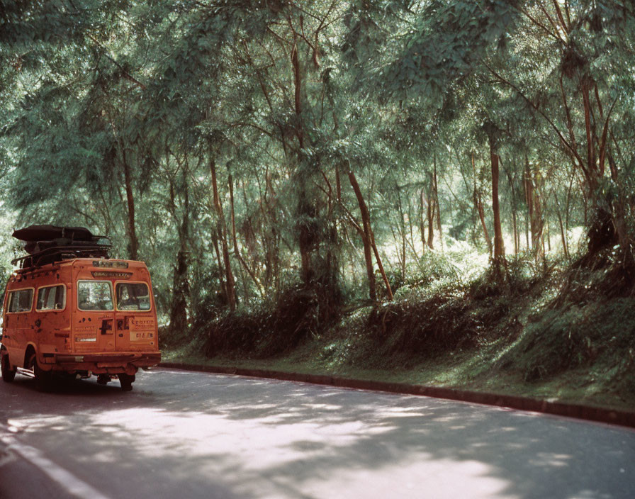 Vintage Orange Van Driving Through Lush Forest Road